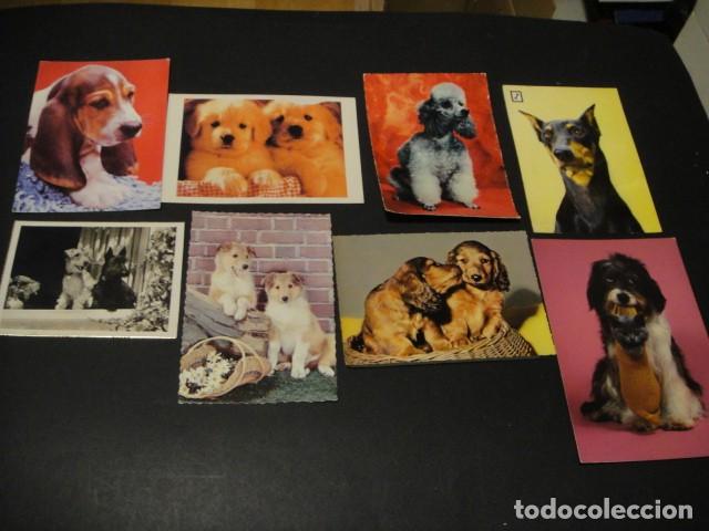 Postales: 28 postales de perros - Foto 4