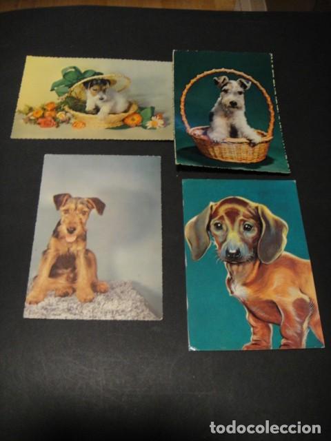 Postales: 28 postales de perros - Foto 5