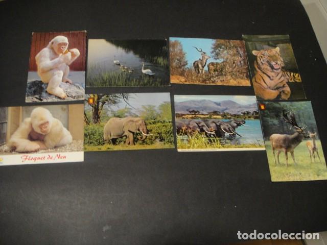 Postales: 125 postales animales varios - Foto 5