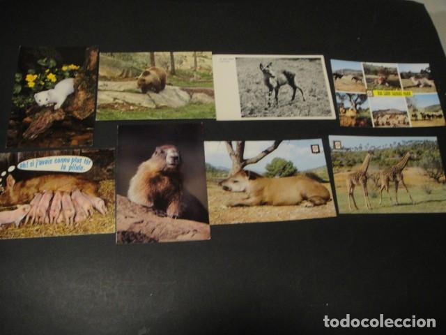 Postales: 125 postales animales varios - Foto 6