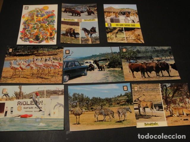 Postales: 125 postales animales varios - Foto 7