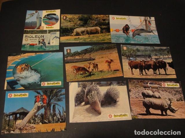 Postales: 125 postales animales varios - Foto 8