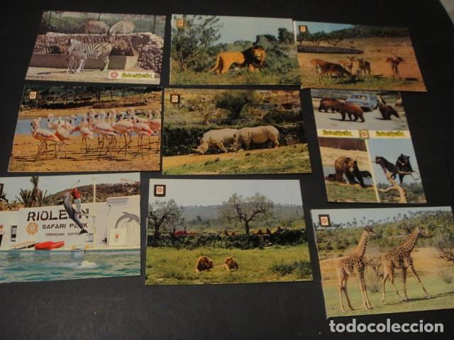 Postales: 125 postales animales varios - Foto 9