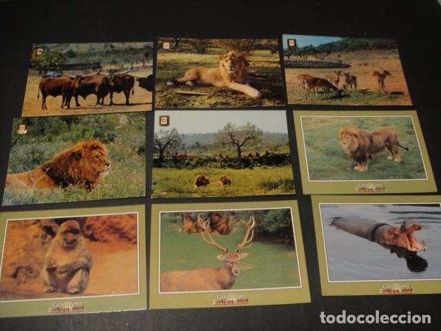 Postales: 125 postales animales varios - Foto 10