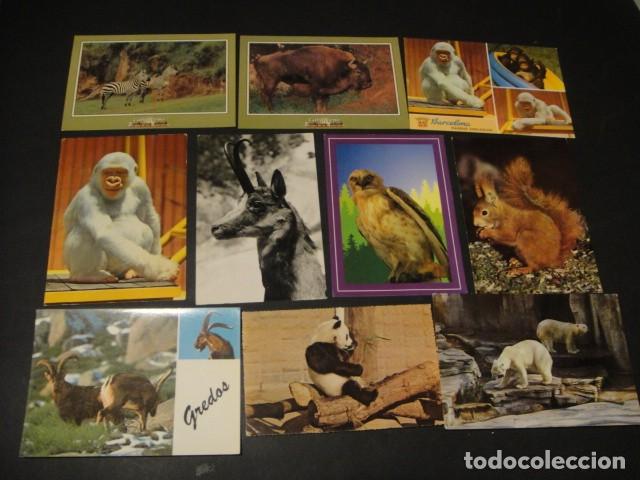 Postales: 125 postales animales varios - Foto 11