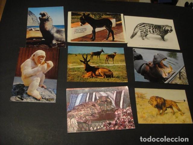 Postales: 125 postales animales varios - Foto 14