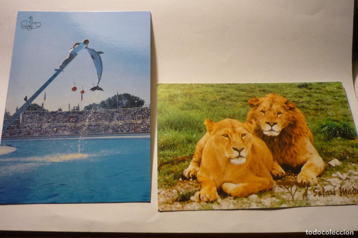 Postales: lote postales animales cm - Foto 1