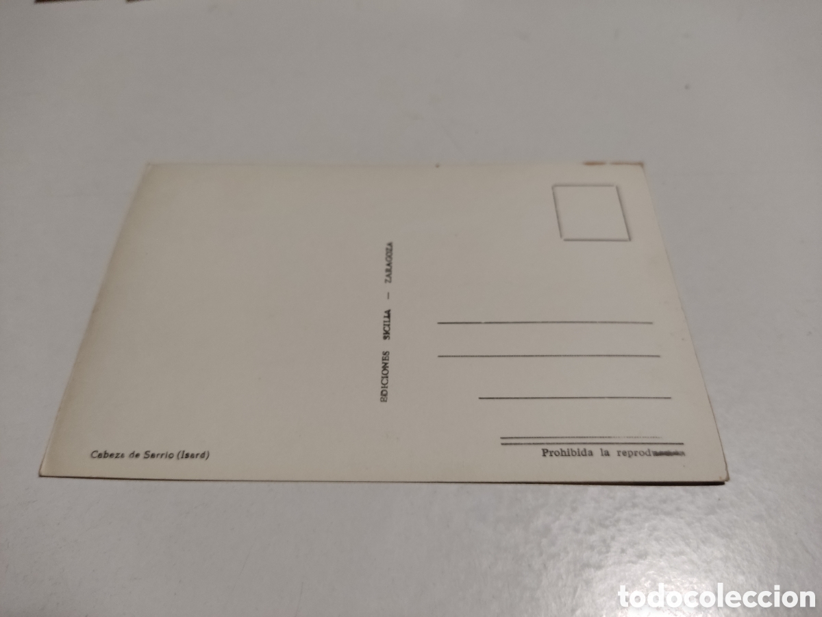 Postales: Postal cabeza de sarrio isard - Foto 2