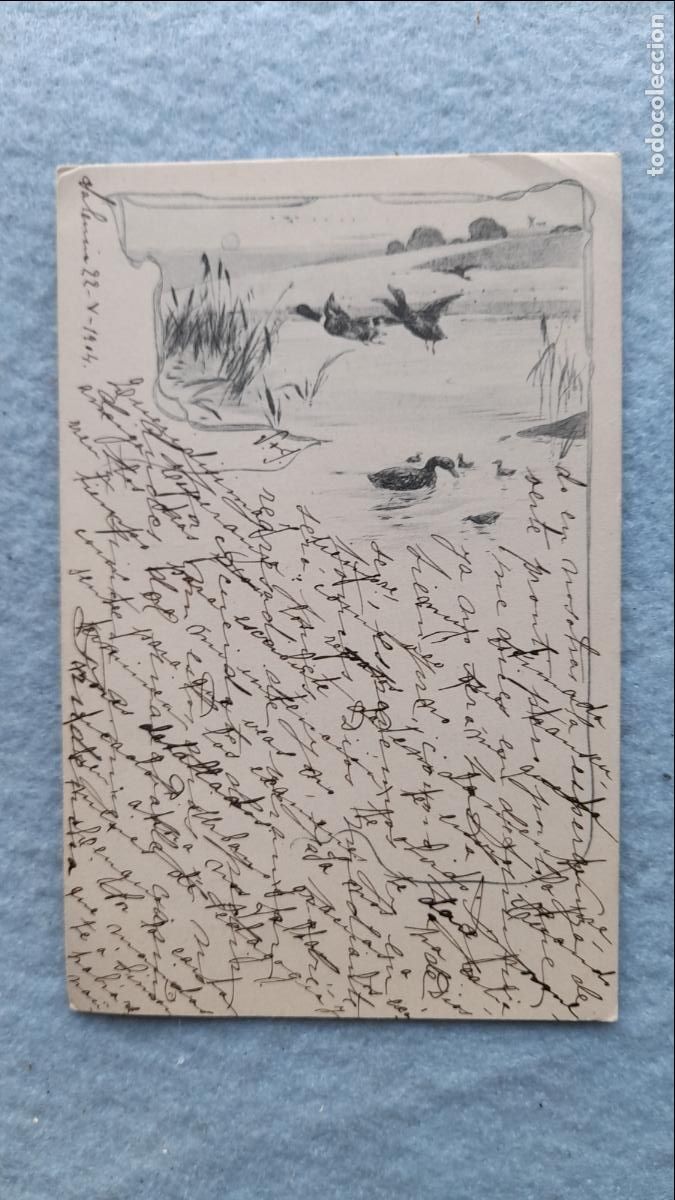 Postales: Postal Antigua de Patos. Franqueada en 1904.