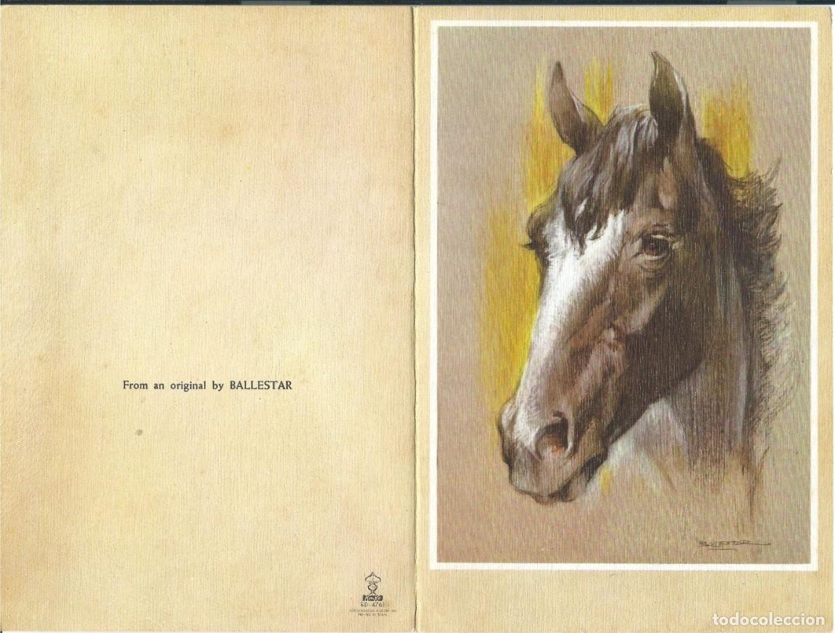 Postales: &rdquo; CABALLO &rdquo;.- TARJETA TIPO FELICITACION A DOBLE HOJA