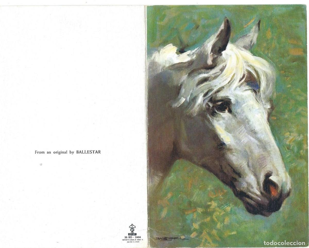 Postales: &rdquo; CABALLO &rdquo;.- TARJETA TIPO FELICITACION A DOBLE HOJA