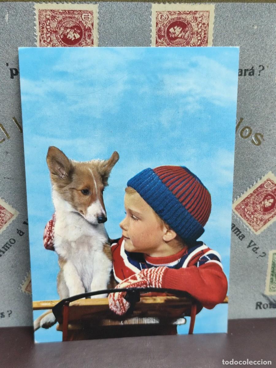 Cartes Postales: P4181 Postal Ni&ntilde;o con perro CyZ 6615