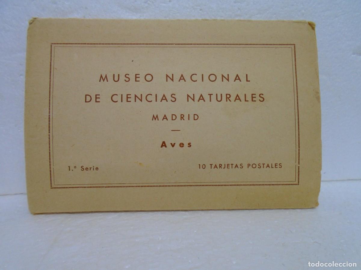 Cartes Postales: MUSEO NACIONAL DE CIENCIAS NATURALES.AVES.10 TARJETAS POSTALES ,EDIC. ARTE,A&Ntilde;OS 50.