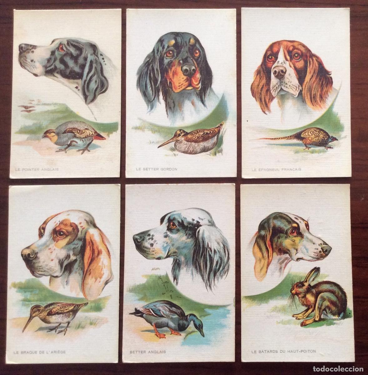 Postales: COLECCI&Oacute;N DE 6 POSTAL ILUSTRADA PERROS DE CAZA - Foto 1