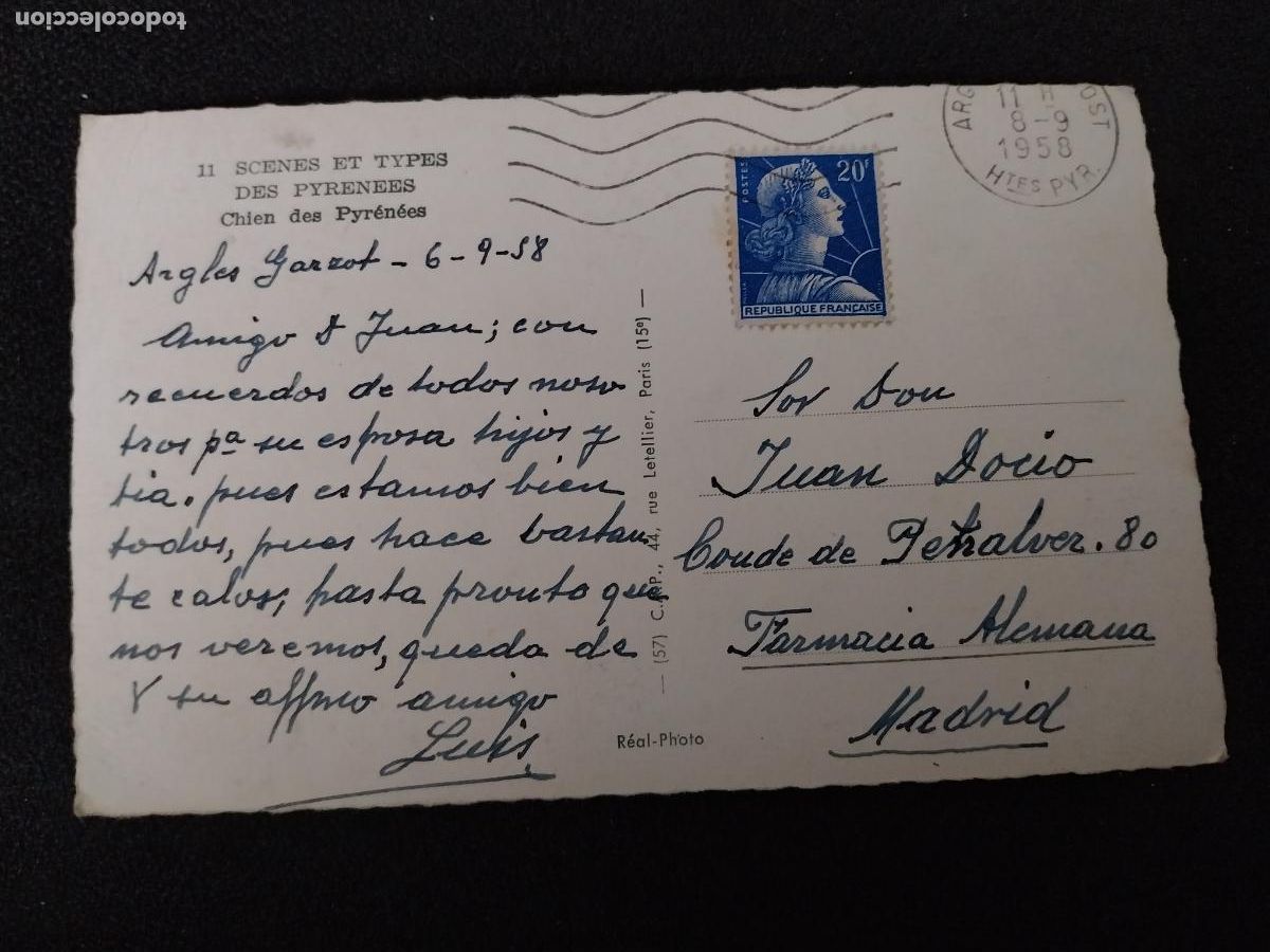 Postales: CHIEN DES PYRENEES PERRO 1958 POSTAL CIRCULADA - Foto 2