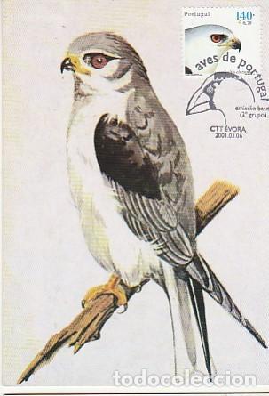 Postales: Portugal & Maxmai, Aves de Portugal, Cern&iacute;calo gris, Elanus caeruleus, &Egrave;vora 2001 (2788)