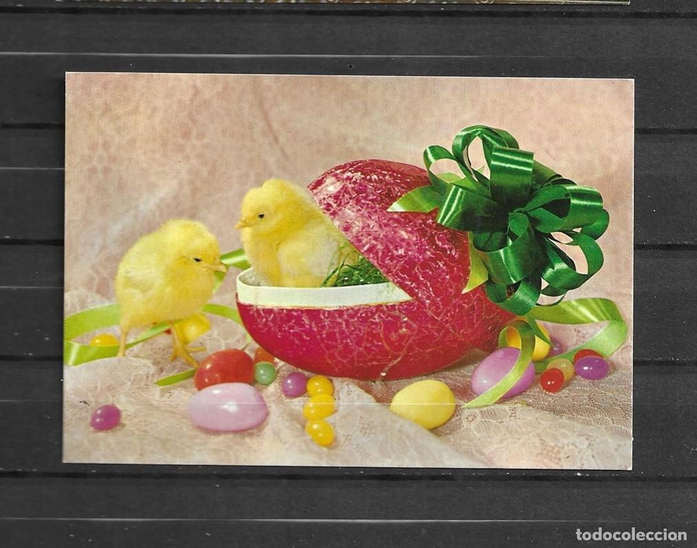Postales: Postal, Pollitos Pascua, francesa, circulada