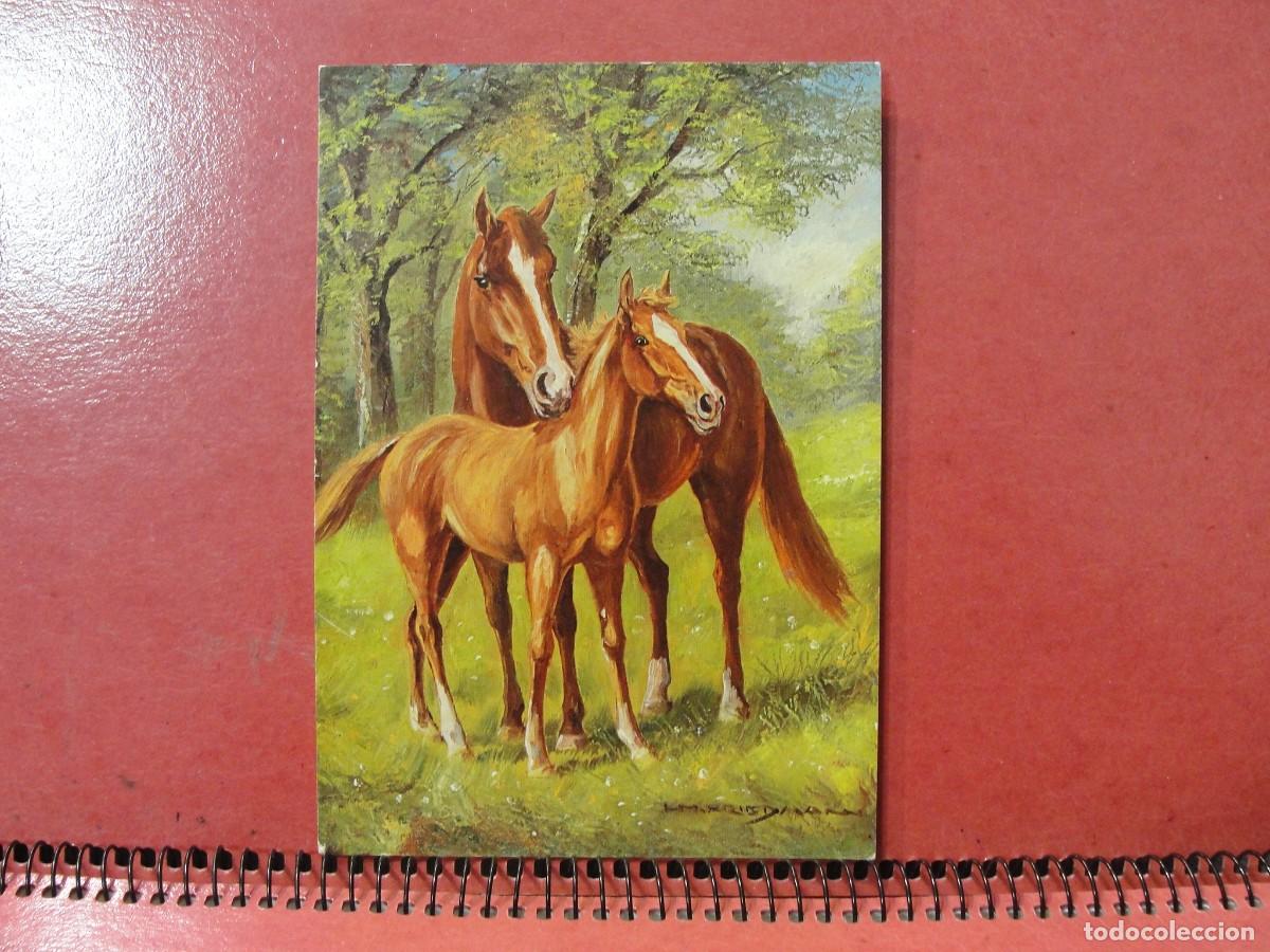 Postales: POSTAL ALEMANA NO CIRCULADA - POTRO Y YEGUA - WIECHMANN 9206 - STUTE MIT FOHLEN - FRIEDMANN HANS