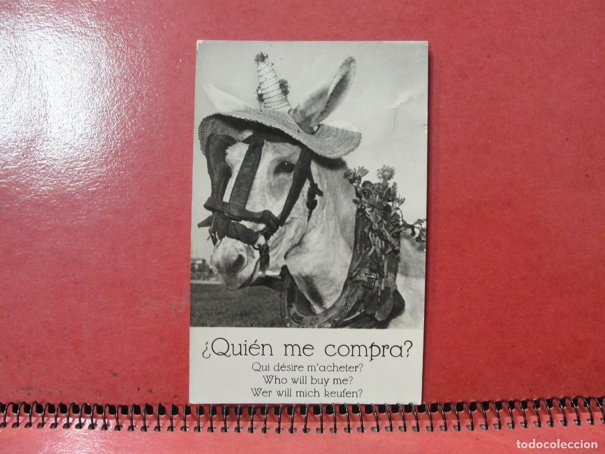 Postales: POSTAL MUNDI N&ordm; 1 &iquest; A&Ntilde;OS 50 / 60 ? - UN BURRO &iquest; QUIEN ME COMPRA ? ASNO JUMENTO BORRICO POLLINO
