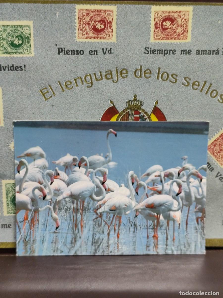 Postales: P4425 Postal Flamencos . Parque Nacional de Do&ntilde;ana Icona