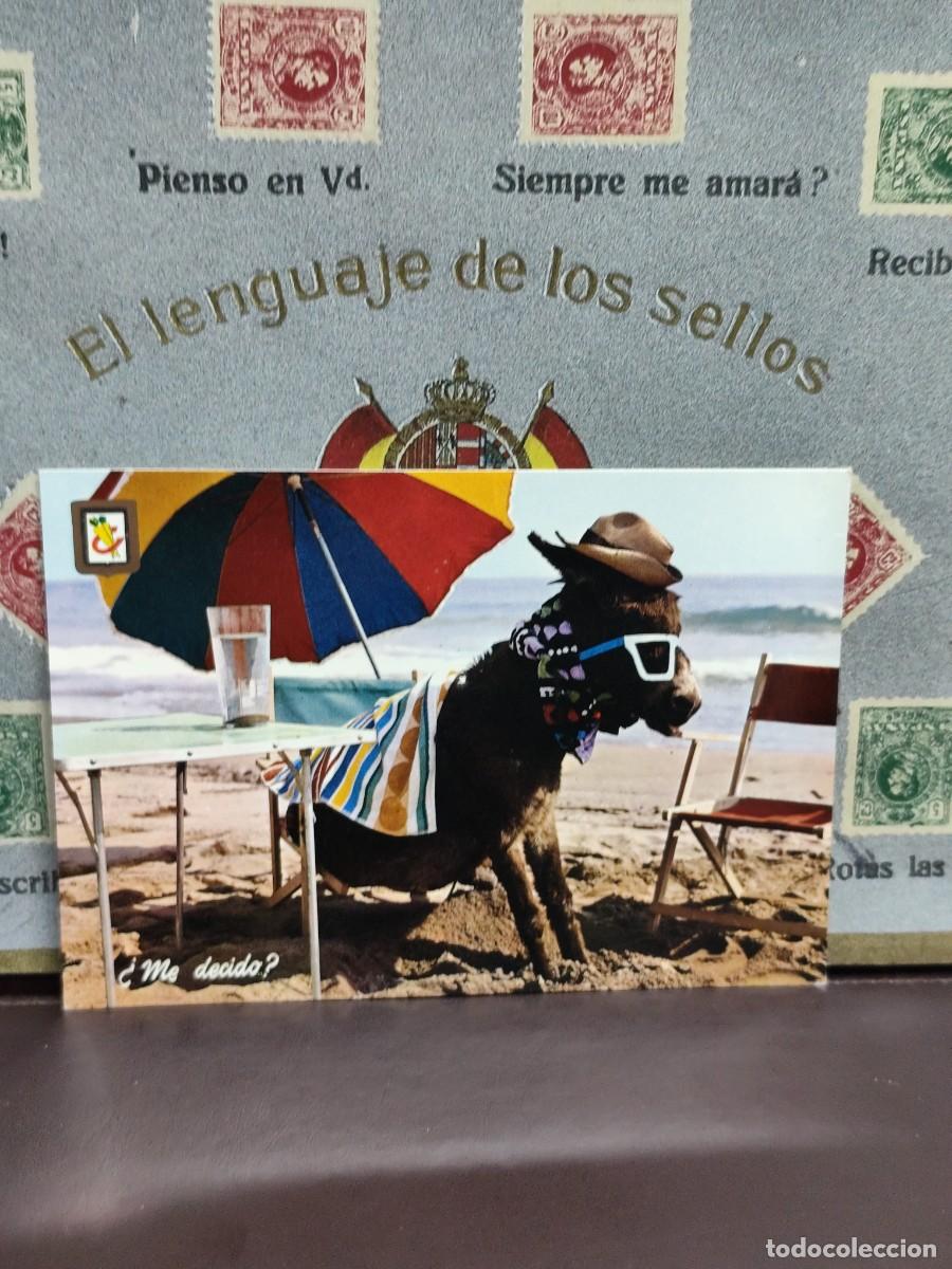 Postales: P4427 Postal Animales c&oacute;micos 11 Me decido . Escudo de Oro