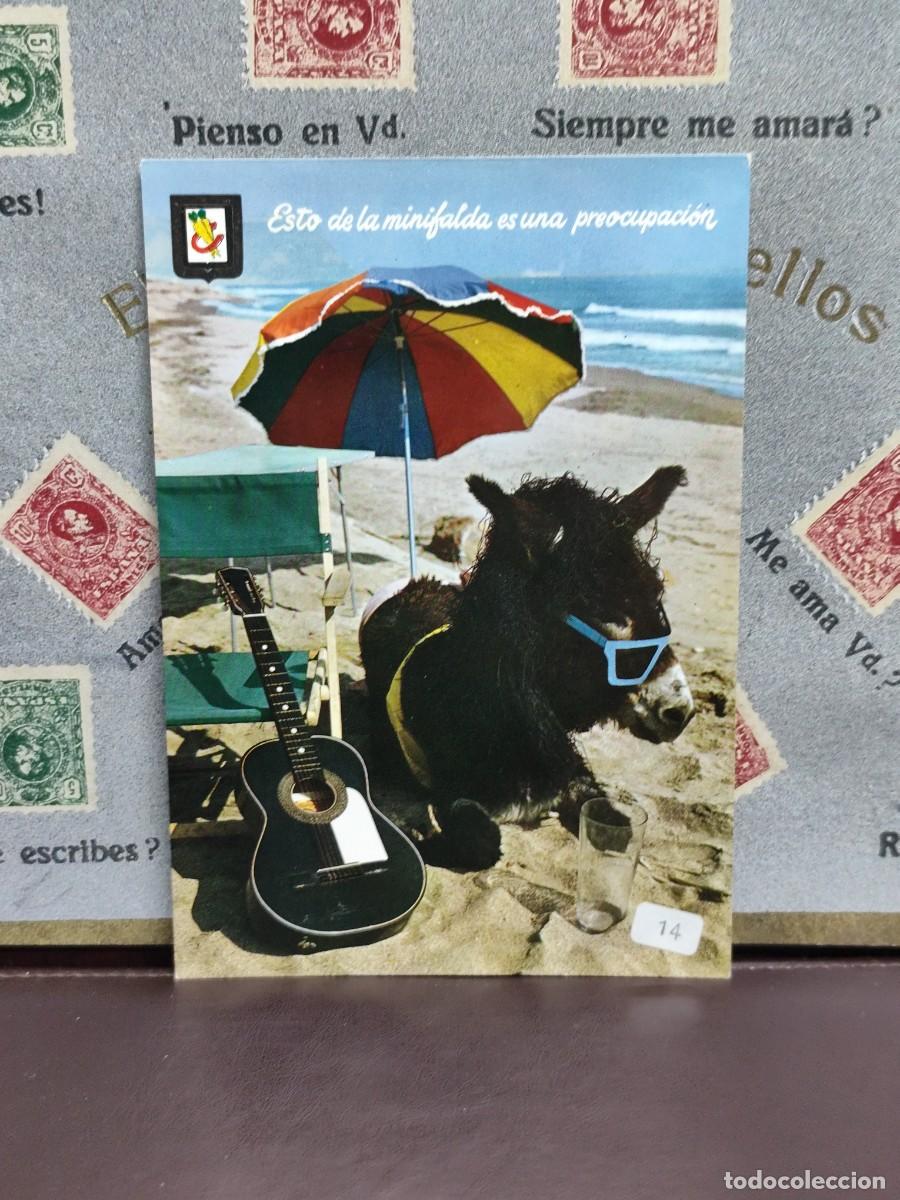 Postales: P4429 Postal Animales c&oacute;micos 14 Esto de la minifalda es una preocupaci&oacute;n .Escudo de Oro