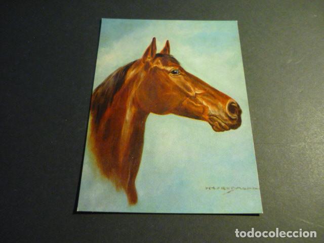 Postales: CABEZA DE CABALLO DE HANS FRIEDMANN POSTAL - Foto 1