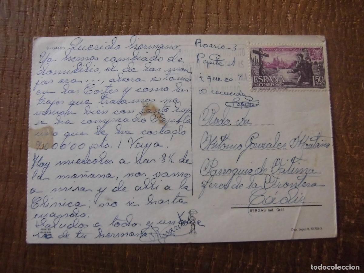 Postales: POSTAL GATOS EN CESTA - Foto 2