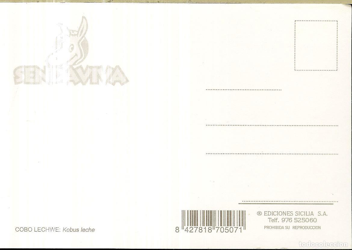 Postales: POSTAL - SENDAVIVA - NAVARRA - Foto 2