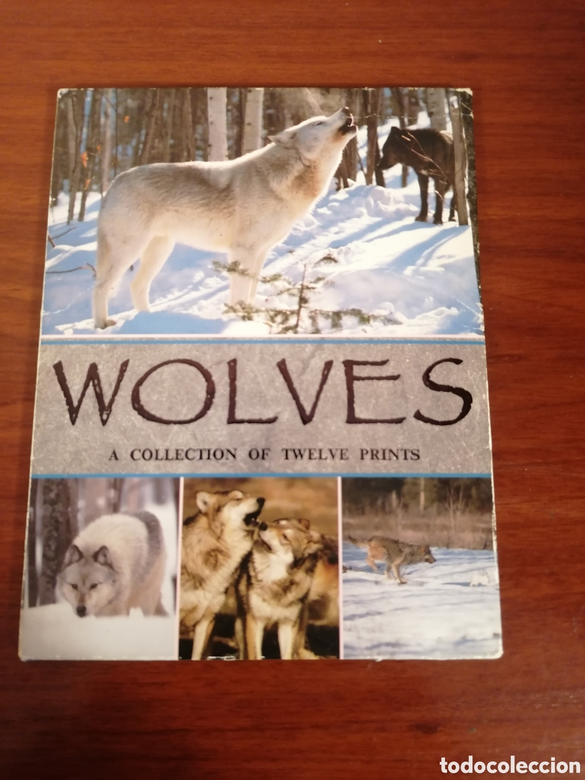 Postales: Wolves. A Collection Of Twelve Prints. Lobos. Colecci&oacute;n Doce Postales.1991 North American Wildlife