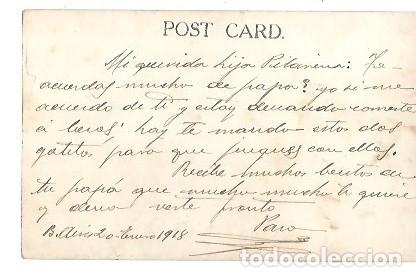 Postales: POST CARD TEMA GATOS 1918 - Foto 2