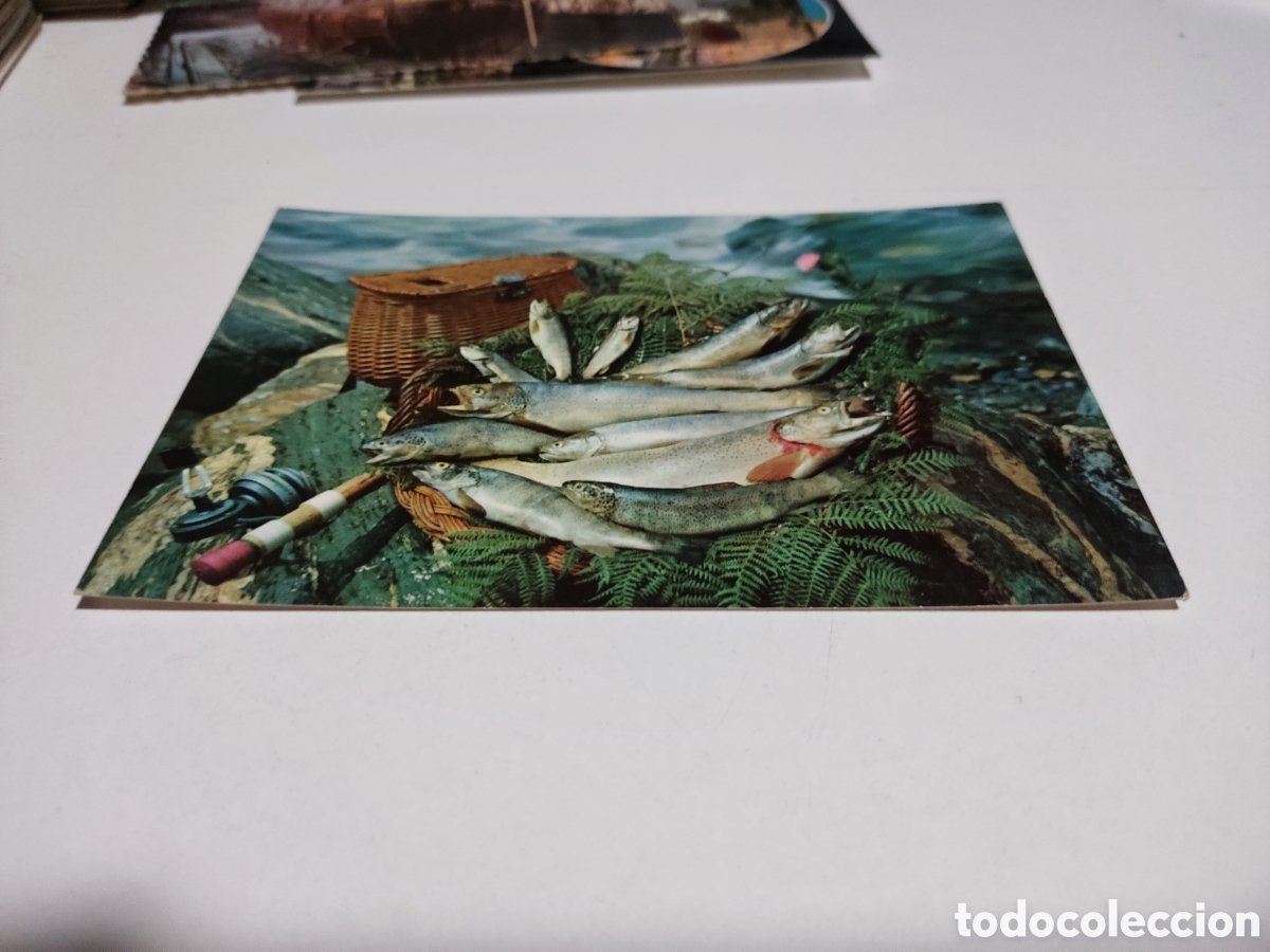 Postales: Postal truchas de L&eacute;rida - Foto 1