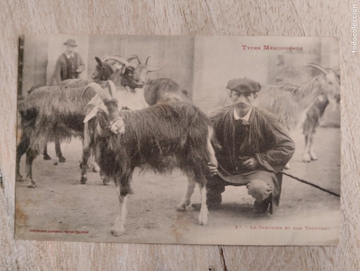 Postales: PE - TYPES MERIDIONAUX, CHEVRE. CABRA..PASTOR.. - Foto 1