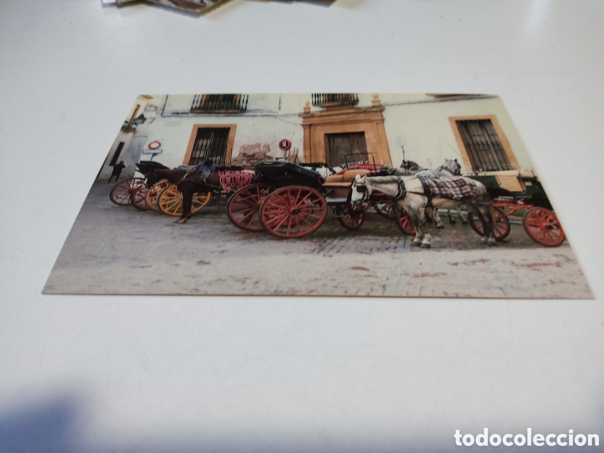 Cartes Postales: Postal carros burros transporte Turistas