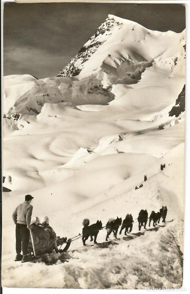 Postcards: Postal de Trineo con perros. Jungfraujoch, Escrita. Vell i Bell