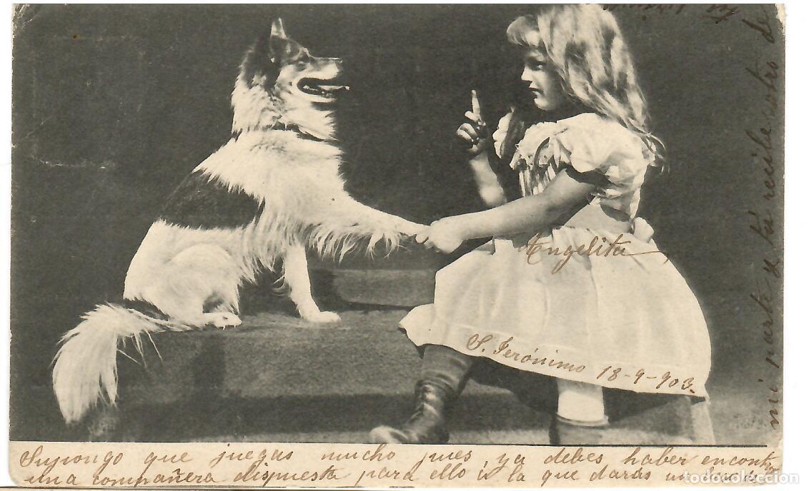 Postcards: Postal. Ni&ntilde;a con Perro. escrita en 1903. Vell i Bell
