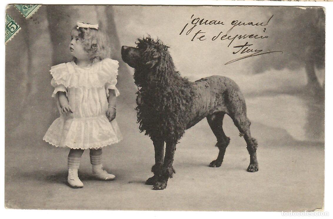 Postcards: Postal. Ni&ntilde;a con Perro. escrita. Vell i Bell