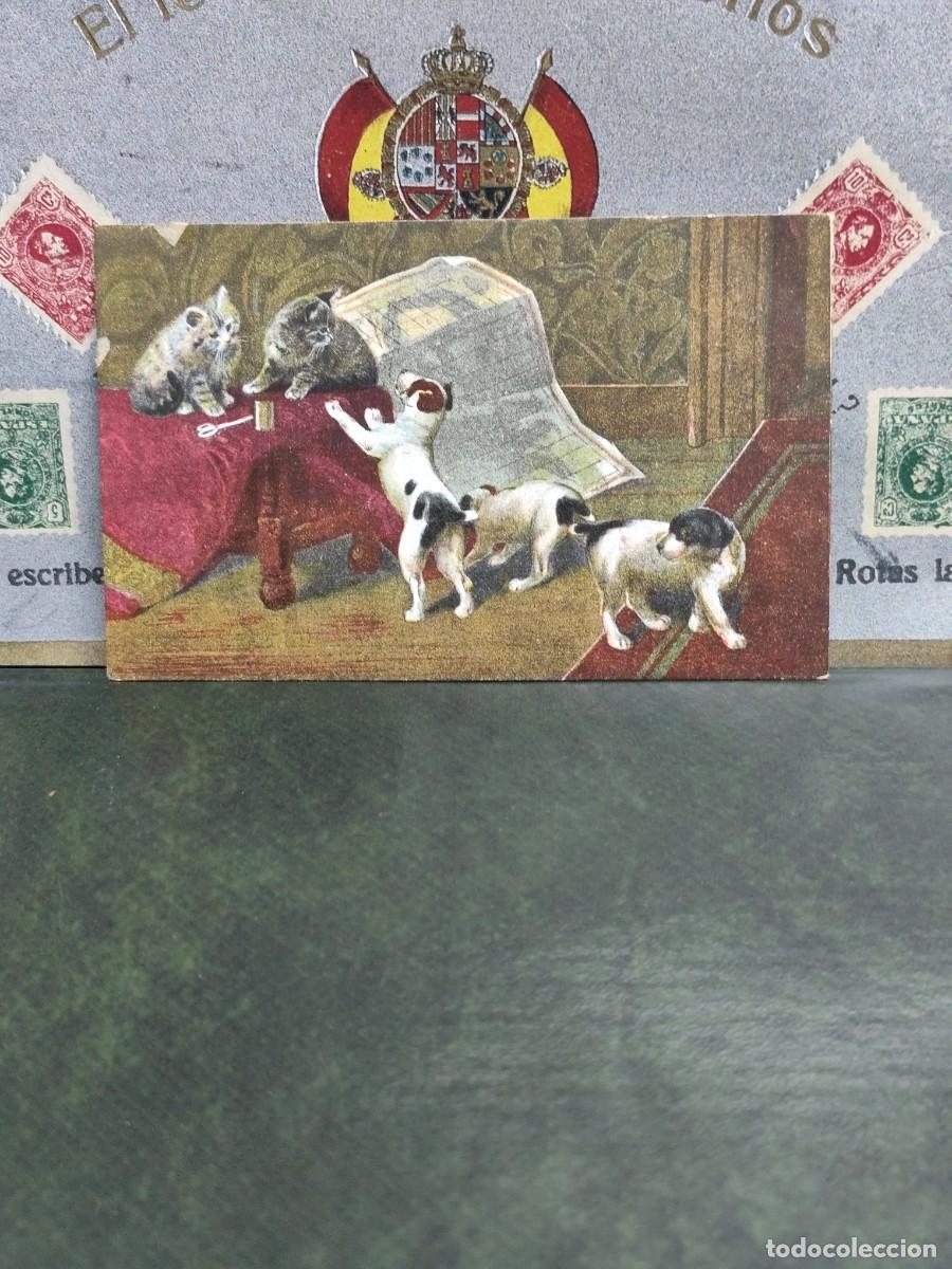 Postales: PA 466 Postal Perros y gatos - Foto 1