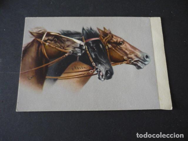 Postales: CABALLOS POSTAL ILUSTRADA - Foto 1