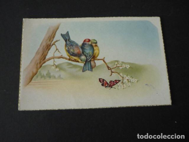 Postales: PAJAROS EN RAMA DE POSTAL - Foto 1