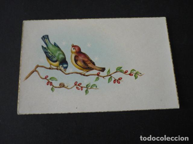 Postales: PAJAROS EN RAMA DE POSTAL - Foto 1