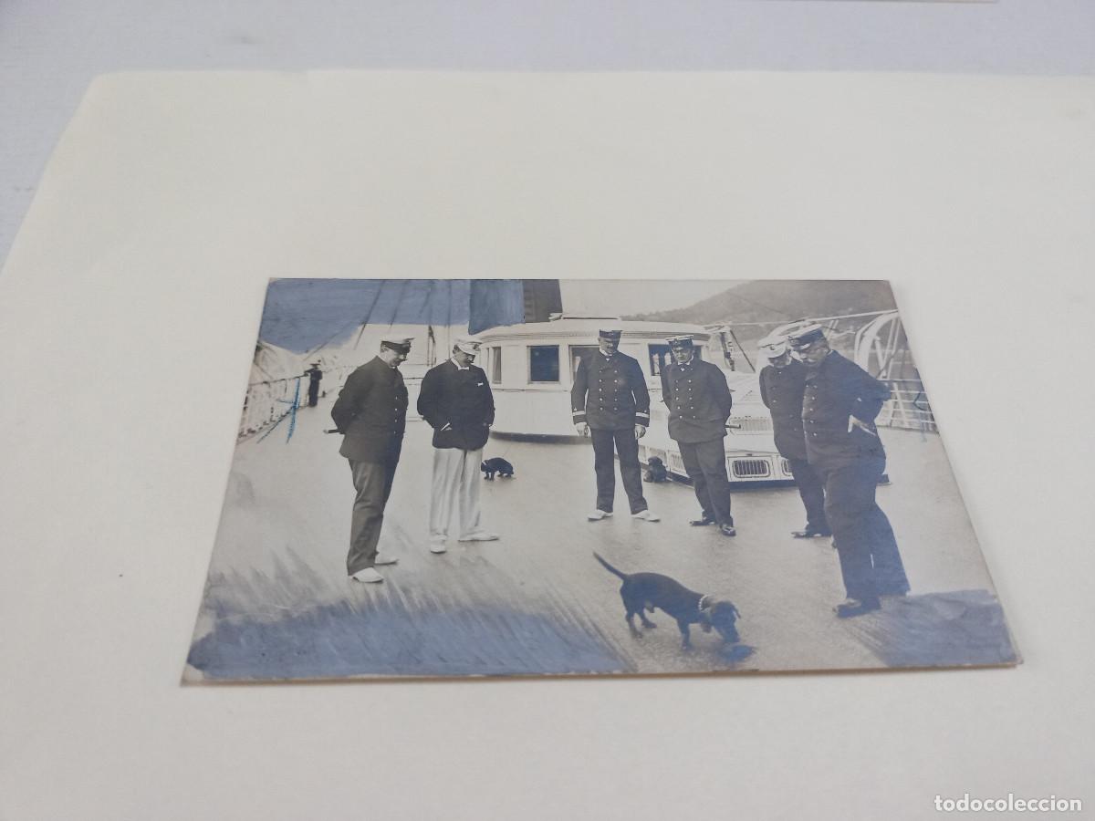 Postcards: POSTAL FOTOGR&Aacute;FICA EL PERRO DEL KAISER