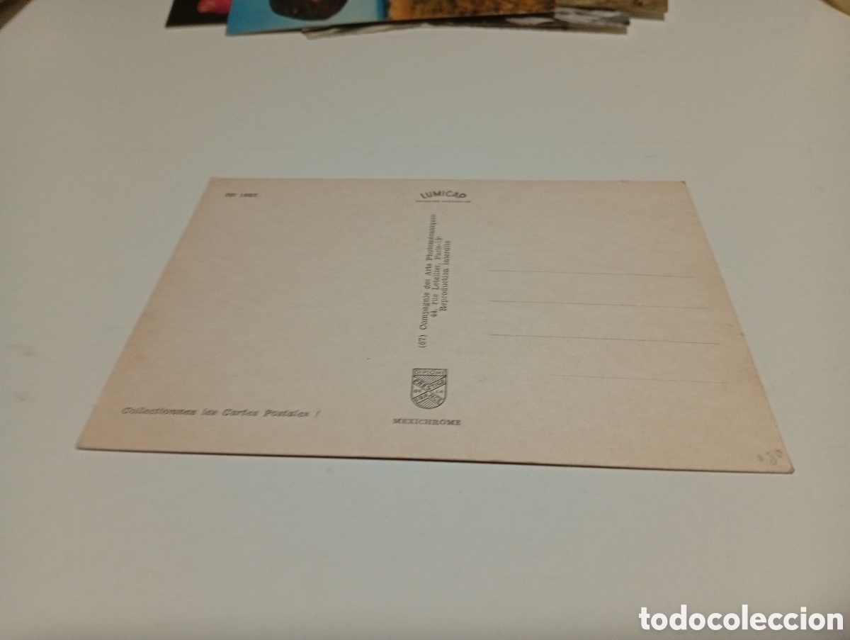 Postales: Postal animales burros - Foto 2