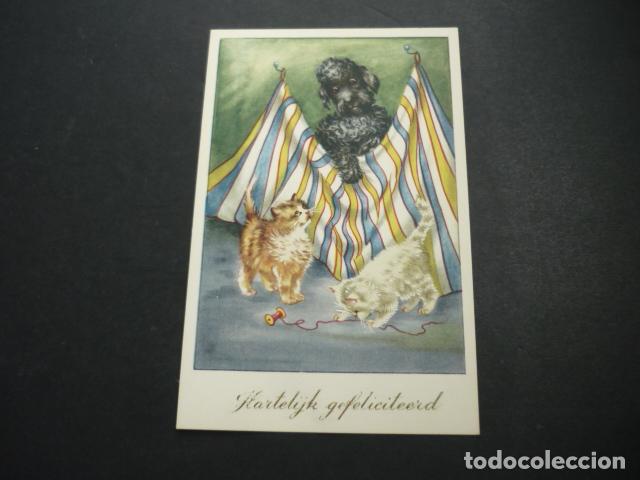 Postales: GATOS CON PERRO POSTAL - Foto 1