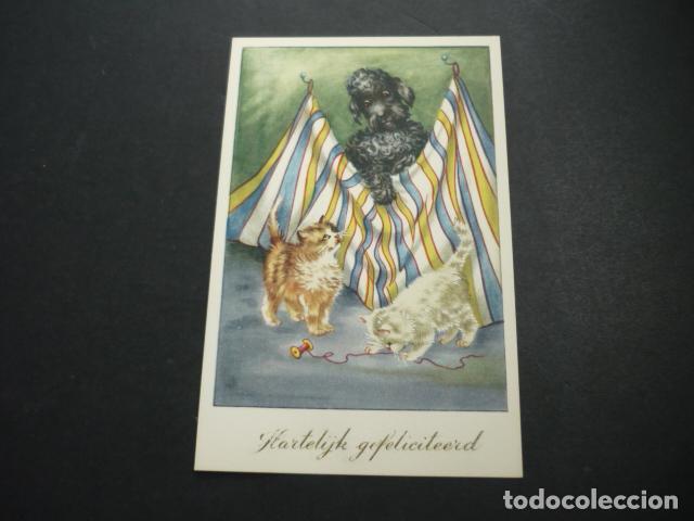 Postales: GATOS CON PERRO POSTAL - Foto 1