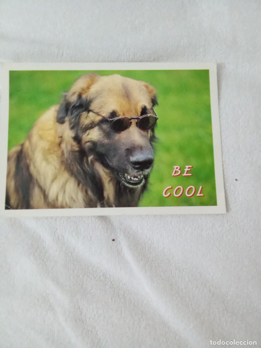 Postales: Postal Ser Genial Be Cool - Foto 1