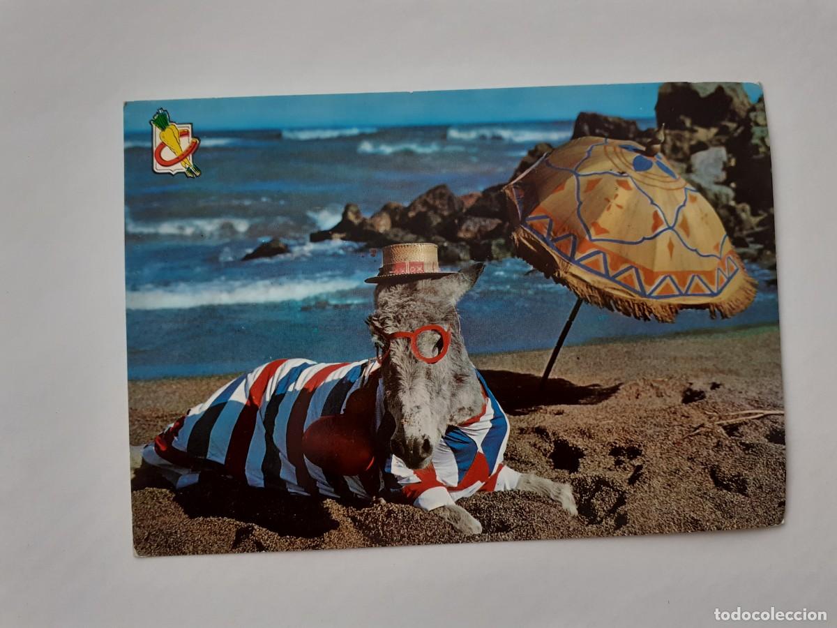 Postales: POSTAL - BURRO EN LA PLAYA ANIMALES YO TRANQUILO - NUM. 9 - Foto 1