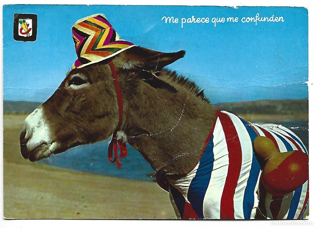 Postales: ANIMALES COMICOS.- (BURRO) - Foto 1