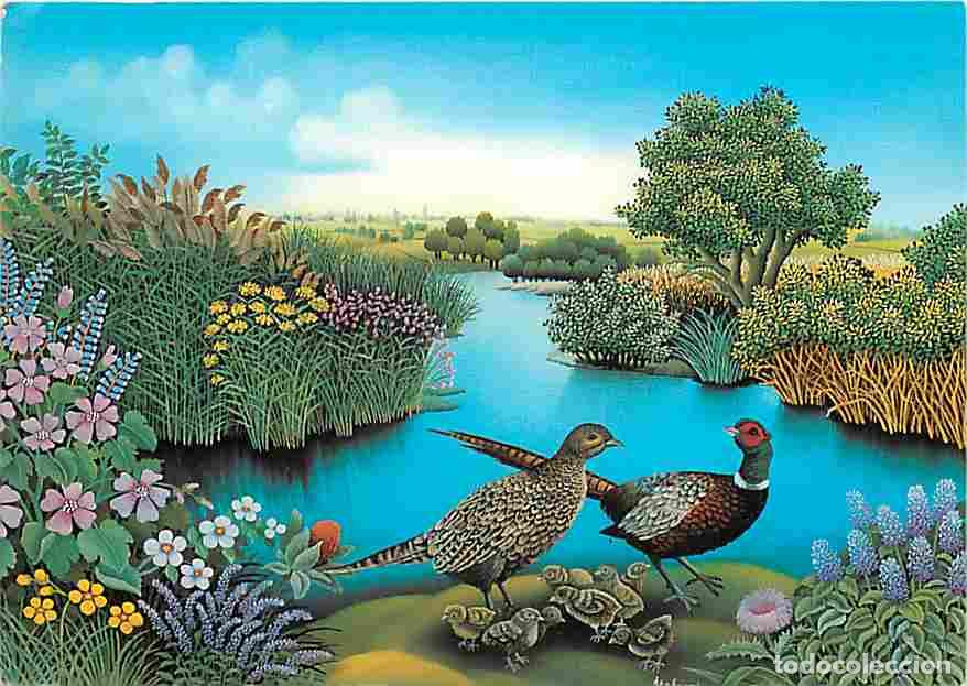 Postales: Animaux - Oiseaux - Faisans - Dessin de Ivan Stefanek - CPM - Voir Scans Recto-Verso - Foto 1