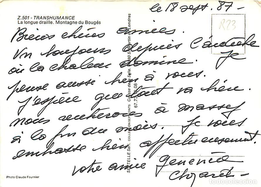 Postales: Animaux - Moutons - Transhumance - La longue draille. Montagne du Boug&eacute;s - CPM - Voir Scans Recto-Ve - Foto 2